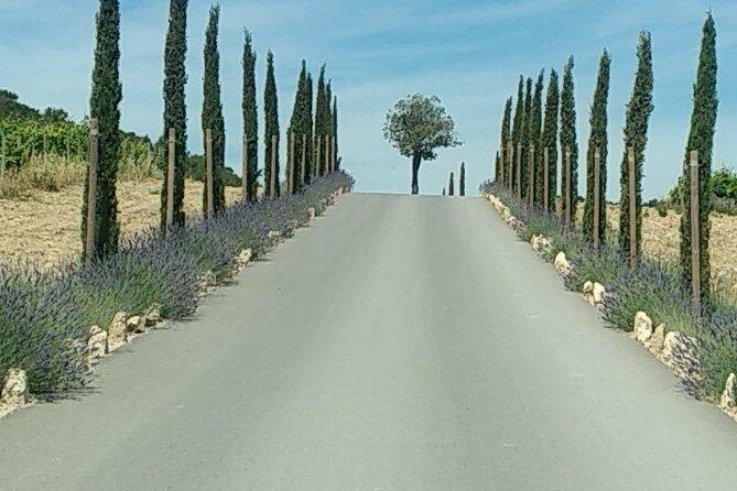 5-Hour Private Sightseeing Tour of the Provence from Marseille in Luxury Car - Comfort and pacing: how the private format changes your day