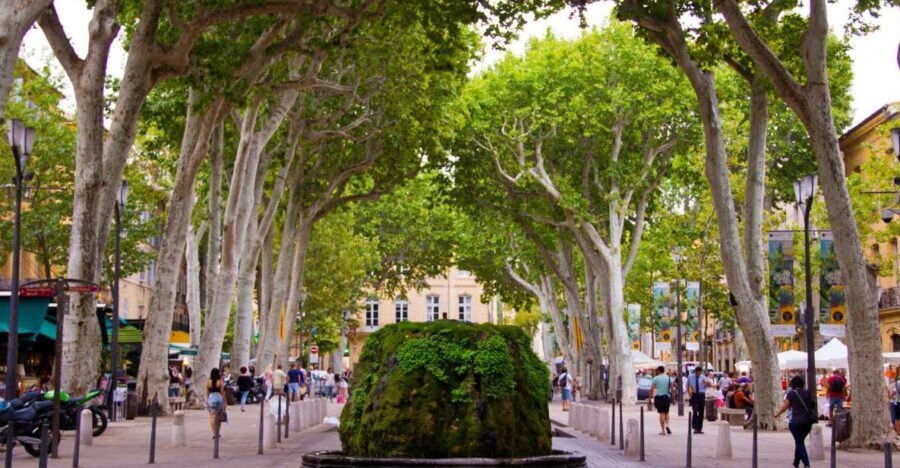 Aix-en-Provence: Half-Day Shore Excursion Tour - Saint-Sauveur Cathedral: the Aix landmark stop that anchors the day