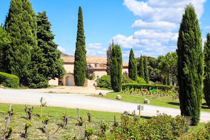 Aix-en-Provence - Mt Sainte Victoire wines in search of Cézanne - Stop 1: Domaine de Saint Ser vineyard visit and tasting (30 minutes)