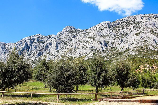 Aix-en-Provence - Mt Sainte Victoire wines in search of Cézanne - Lunch in Puyloubier: the Provençal break you’ll thank yourself for