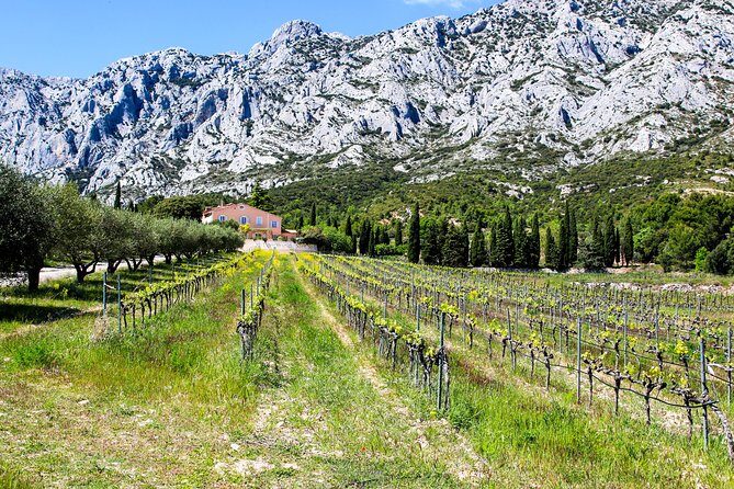 Aix-en-Provence - Mt Sainte Victoire wines in search of Cézanne - How to make the most of the tastings (without being that person)