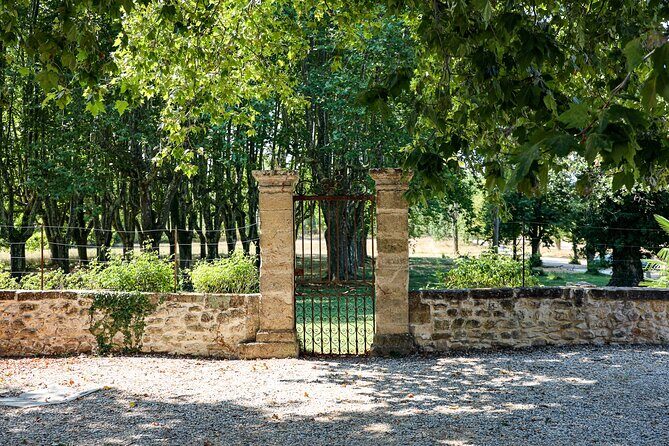 Aix-en-Provence old town, wine & art of Châteaux Beaupré & Bonisson private tour - Château Bonisson: Wine Maker Visit Plus a Contemporary Art Centre