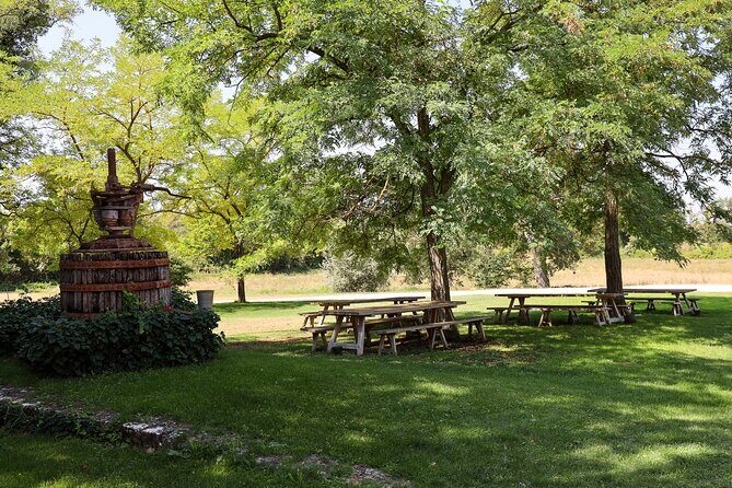 Aix-en-Provence old town, wine & art of Châteaux Beaupré & Bonisson private tour - Price and Value: What $549.86 Per Person Buys You
