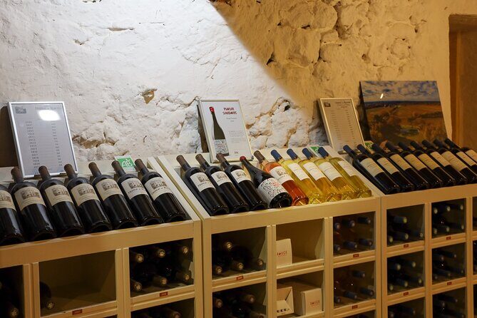 Aix-en-Provence old town, wine & art of Châteaux Beaupré & Bonisson private tour - Guide Quality Matters: The Christopher Factor