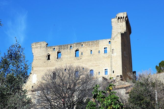 Avignon's history, local culture & the wines of Châteauneuf du Pape private tour - Palais des Papes: skip the line, see the palace as it was