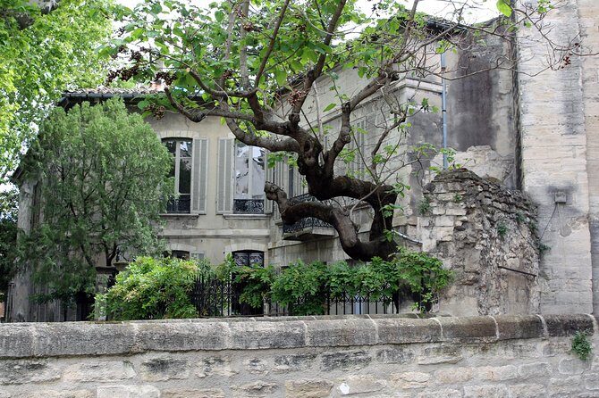 Avignon's history, local culture & the wines of Châteauneuf du Pape private tour - Timing, meeting points, and how the day flows