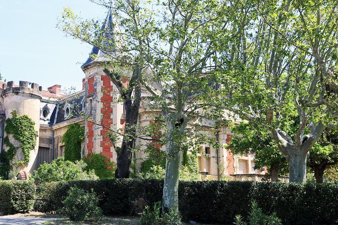Avignon's history, local culture & the wines of Châteauneuf du Pape private tour - Should you book this Avignon and Châteauneuf du Pape private tour?