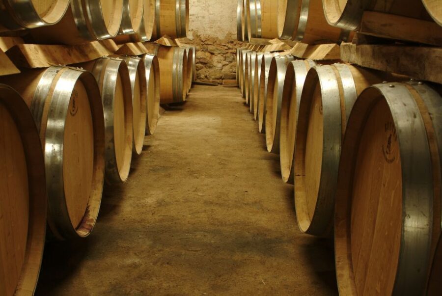 Bandol and Cassis: Full Day Wine Tour from Marseille - Cassis AOP: White Wine Tasting with Coastal Context