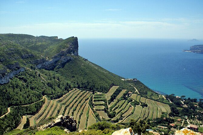 Bandol Wine Tour - 4 hour Private tour - Group Size, Private Guide Time, and When Eight Seats Actually Help
