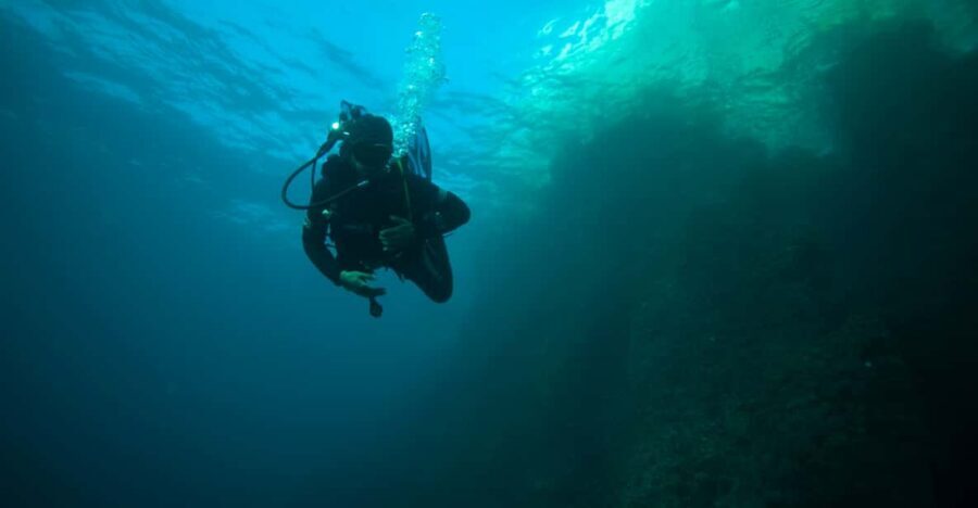 Calanques National Park Snorkel and Scuba Dive - Snorkeling in a secure area: your first view of the Calanques