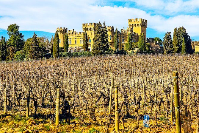Châteauneuf Du Pape intensive vineyard & fine wine experience - Lunch and little local stops that make the day feel real
