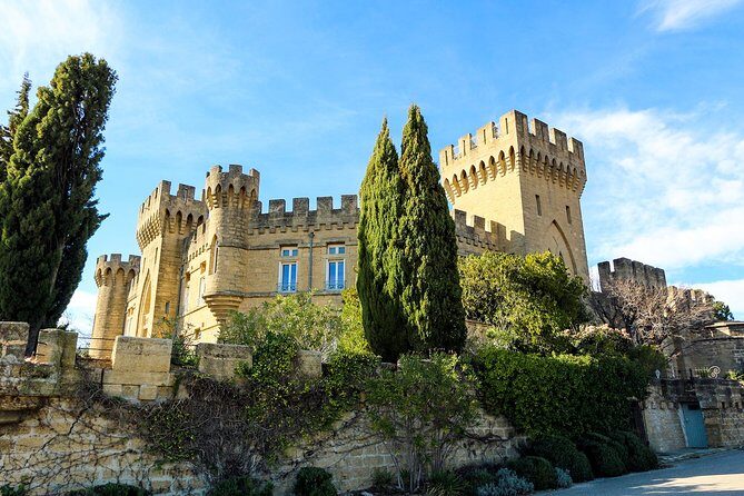 Châteauneuf Du Pape intensive vineyard & fine wine experience - How to get the most from the tastings (no wine degree required)