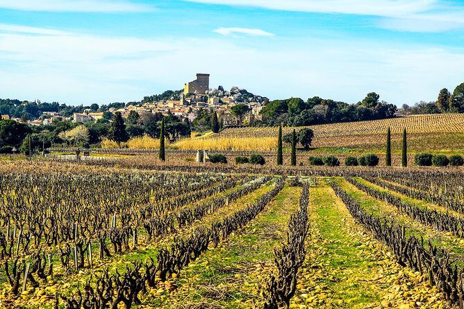 Châteauneuf Du Pape intensive vineyard & fine wine experience - Stop 1: Château Fortia caves and a classic opening tasting
