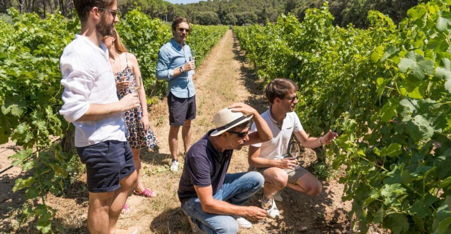 From Marseille: Bandol & Cassis Full-day Wine tour - Quick hits before you go