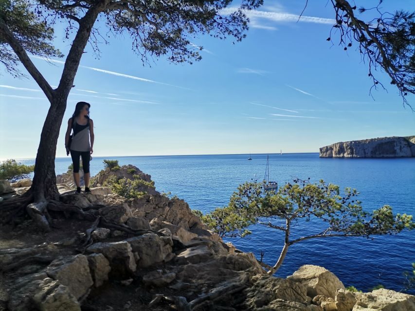 From Marseille: Calanques National Park Guided Hike - A Calanques guided hike that turns Marseille into sea views