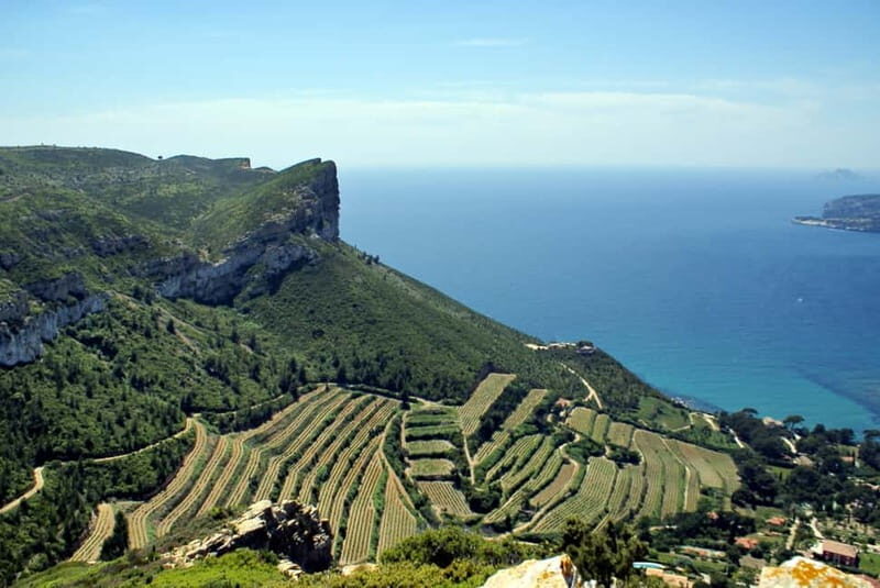 From Marseille: Cassis 4 hours - Cassis in 4 hours: why this small-group rhythm works