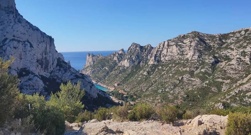 From Marseille: Cassis 4 hours - Vineyards of Cassis and a focused white wine tasting