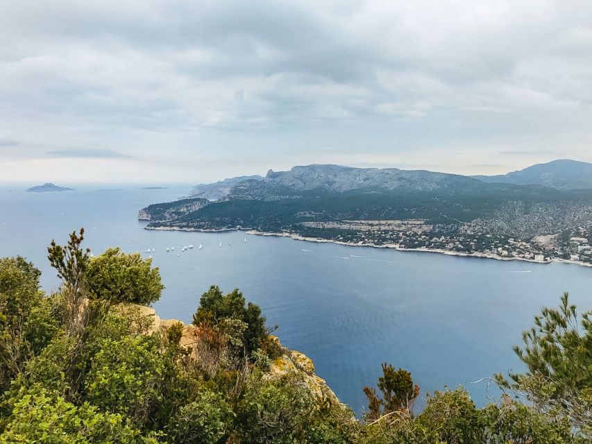 From Marseille: Cassis & Aix-en-Provence Half-Day Tour - Price and value: is $116 per person fair?