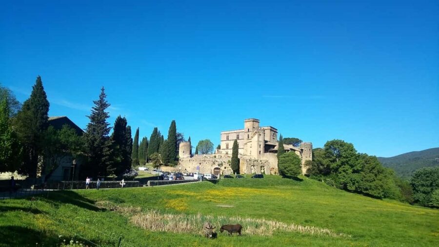 From Marseille Cruise Port: Luberon Villages - Lourmarin: One Hour in a Renaissance-Style Village