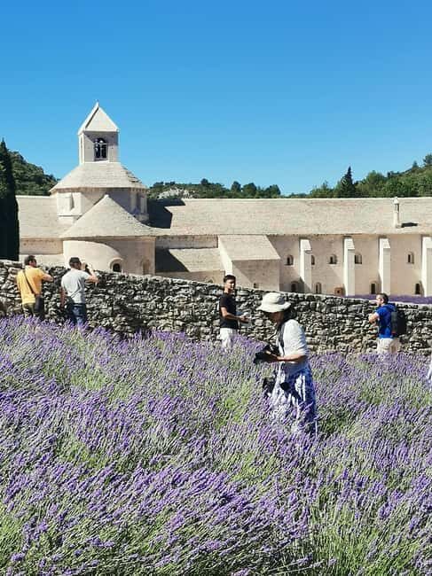 From Marseille: Customizable Private Day Tour of Provence - Marseille’s Le Panier: street art, markets, monuments, and museums