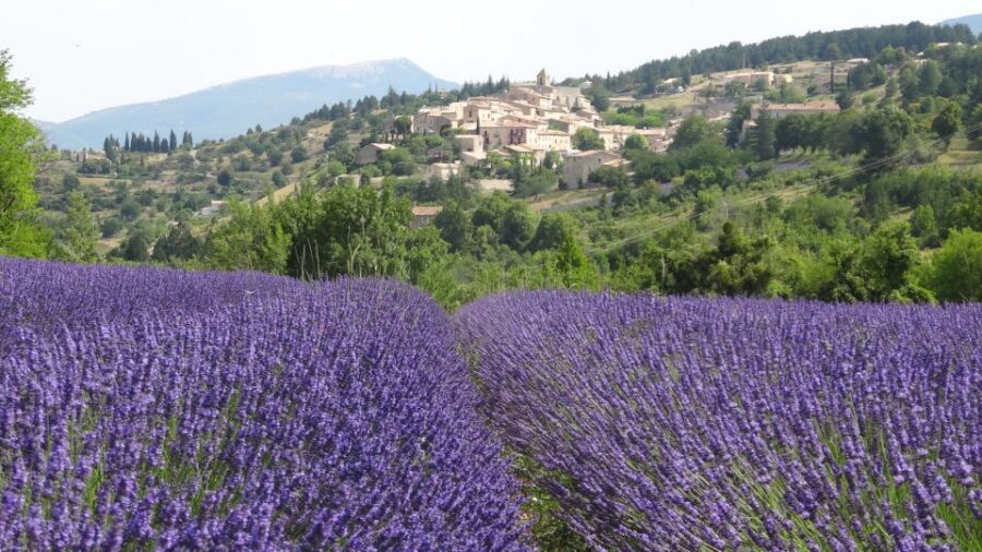 From Marseille: Lavender Full-Day Trip to Sault - How This Day Fits Together (And Why It Works)
