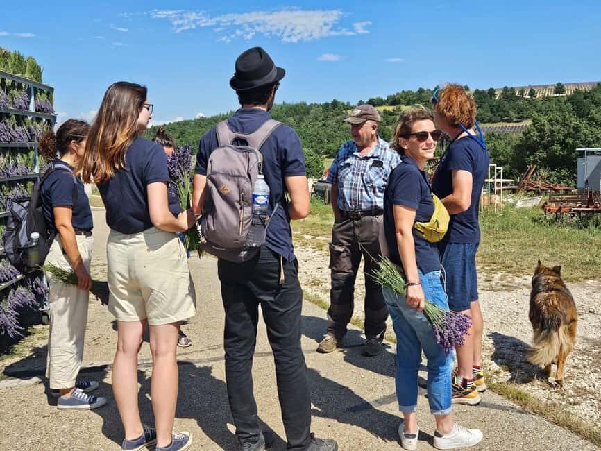 From Marseille: Lavender Full-Day Trip to Sault - Abbaye de Senanque: The Iconic Lavender-and-Stone Photo Stop