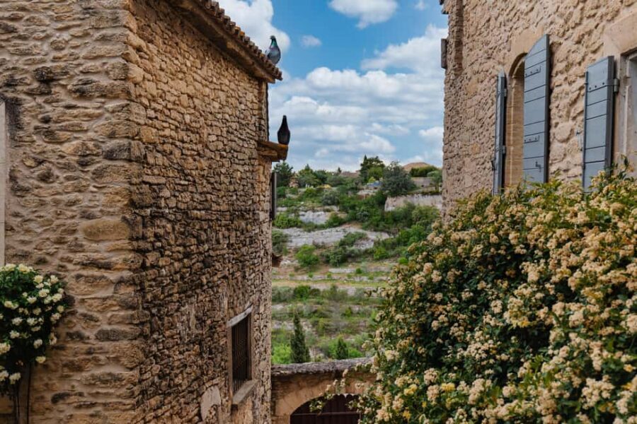 From Marseille: Luberon Market & Villages Full-Day Tour - Key highlights worth planning for