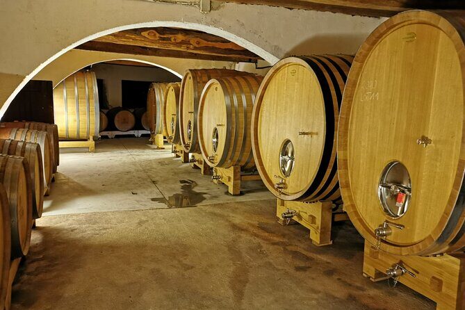 From Marseille : Sidecar Wine Tour to Cassis and Bandol - Price and value: $289.61 for a full scenic day