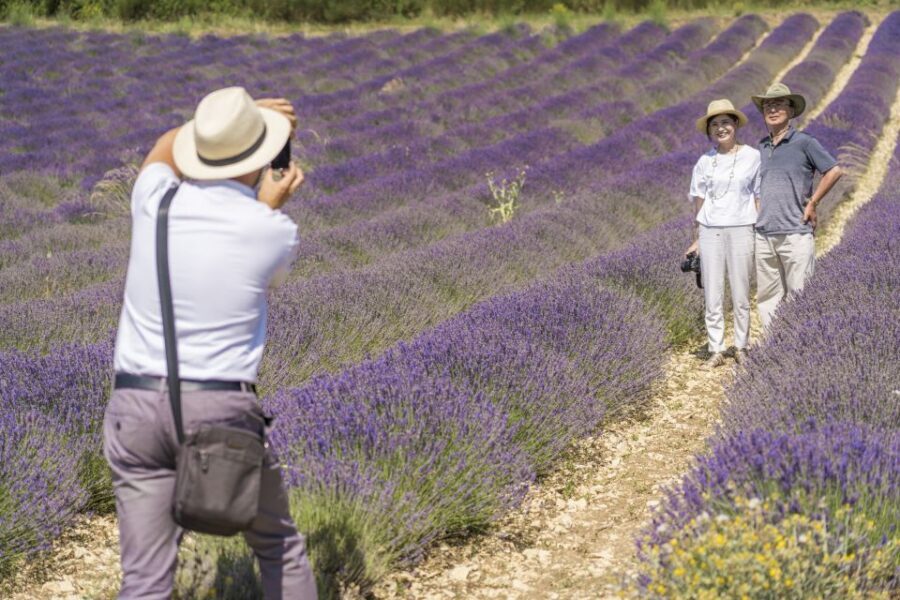 From Marseille: Valensole Lavenders Tour from Cruise Port - The second lavender fields stop: another set of views, another chance to get it right