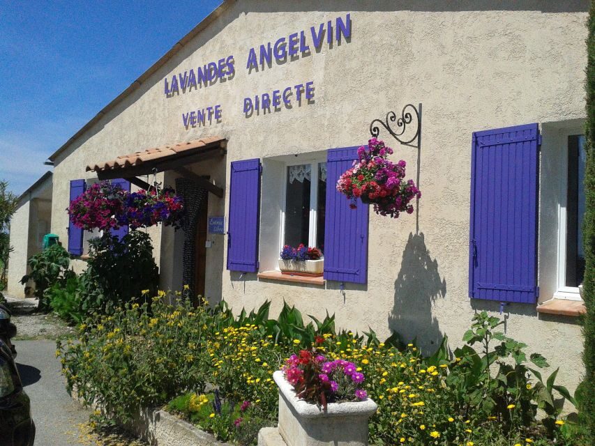 From Marseille: Valensole Lavenders Tour from Cruise Port - Timing, bloom stage, and how to set your expectations