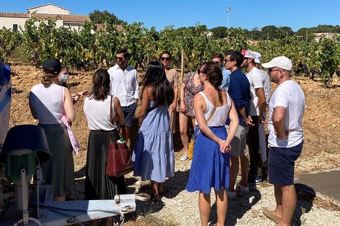 Full-Day Wine and Cheese Tour around Aix-en-Provence from Marseille - What you actually taste on this Aix-en-Provence wine and cheese tour