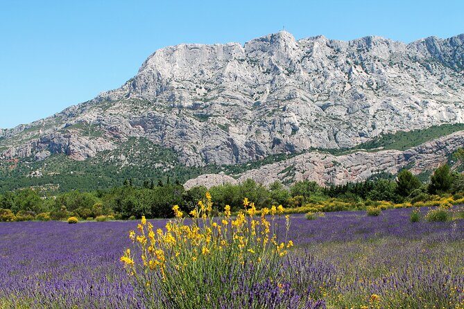Full-Day Wine and Cheese Tour around Aix-en-Provence from Marseille - Small-group touring from Provence Wine Tours: the value math
