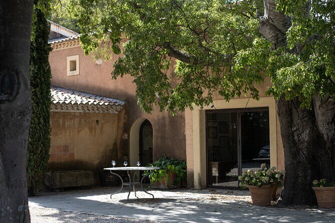Full-day Wine Tour around Bandol & Cassis from Marseille - A second Cassis vineyard: white and rosé focused, with a guided tasting
