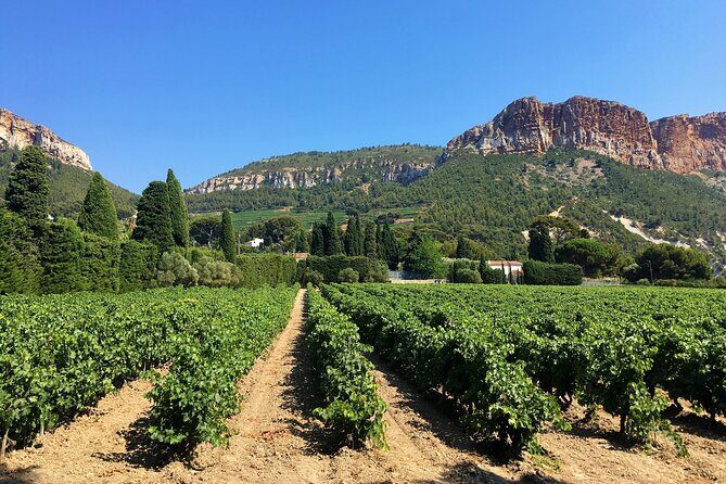 Full-day Wine Tour around Bandol & Cassis from Marseille - Price and value: is $198.24 a good deal?