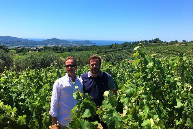Full-day Wine Tour around Bandol & Cassis from Marseille - Practical tips for a smooth day