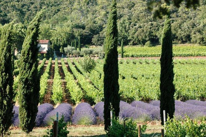 Full-Day Wine Tour around Luberon from Marseille - Key Things I’d Mark on Your Plan