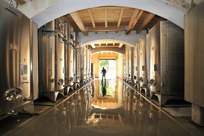 Full-Day Wine Tour around Luberon from Marseille - Stop 2 Afternoon: A Third Winery for Real Comparison