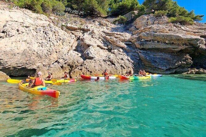 Guided kayak excursion in creeks - Your effort level: why waves decide the day