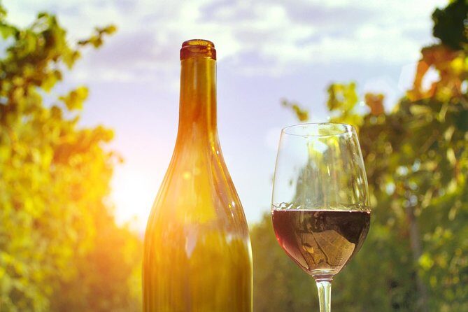 Highlights of Provence : food, wine and seaside in Cassis and Aix - The château stop: rose wine, picnic time, and a real taste of Provence
