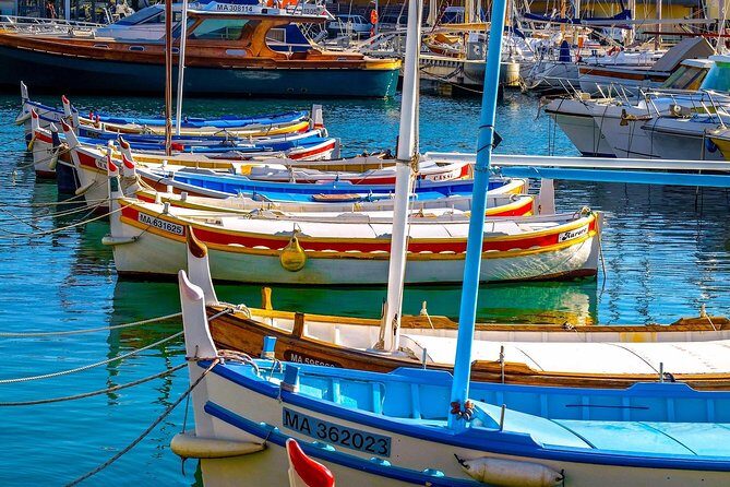 Highlights of Provence : food, wine and seaside in Cassis and Aix - Who this tour suits best (and who should think twice)
