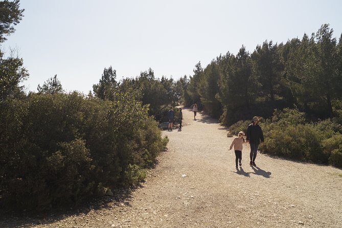 Hiking in the Calanques National park from Marseille - The Picnic Snack Setup: More Than a Token Bite