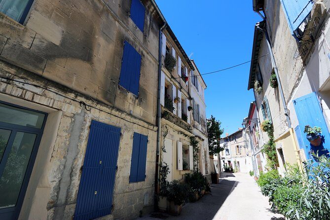 Historic Arles & the beaches and Pink Flamingoes of the Camargue - Parc Ornithologique du Pont de Gau: where the nature lesson is part of the experience