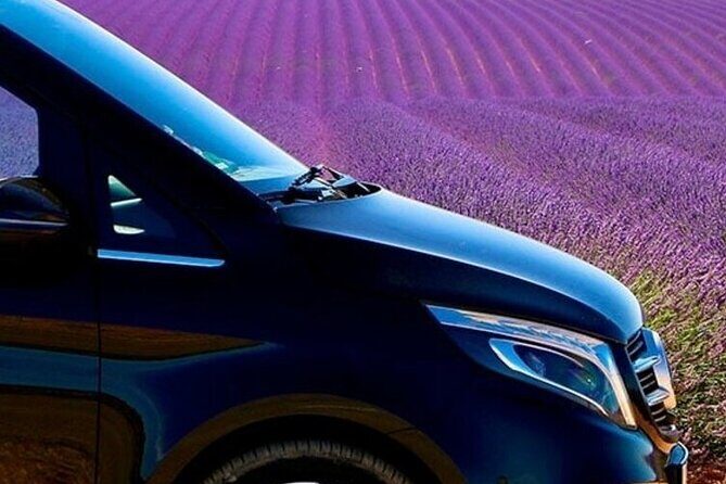 Lavender Fields Full Day Private Tour From Marseille - What to Wear and Bring for a Comfortable Day