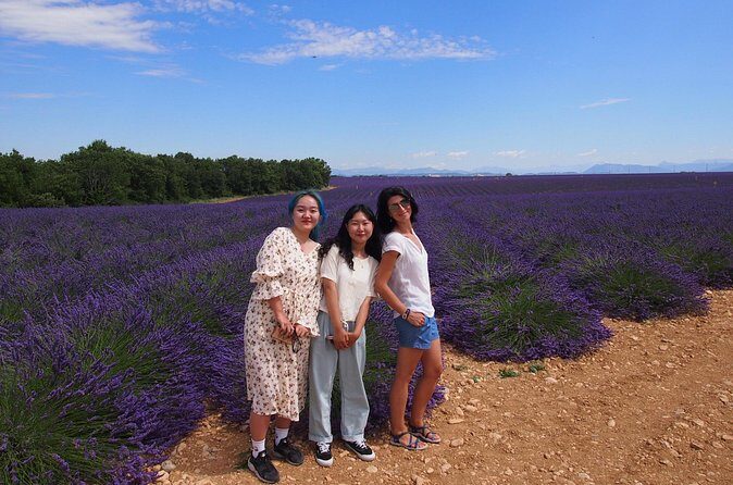 Lavender Fields Tour in Valensole from Marseille - Distilleries and lavender shopping: useful, but know why it’s there