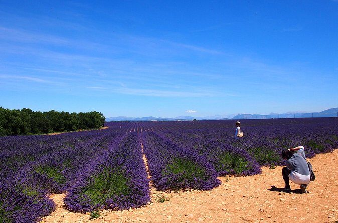 Lavender Fields Tour in Valensole from Marseille - Valensole village: an hour to reset, snack, and browse