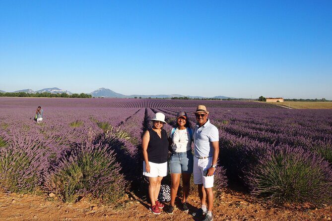 Lavender Fields Tour in Valensole from Marseille - What the best field stops feel like (and how guides shape them)