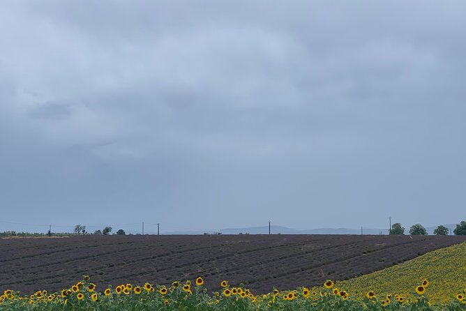 Lavender in Bloom : Unforgettable Provençal Stroll - Optional L’Occitane factory store: discounts and time budgeting