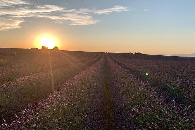 Lavender in Bloom : Unforgettable Provençal Stroll - Optional sunset picnic in the lavender fields