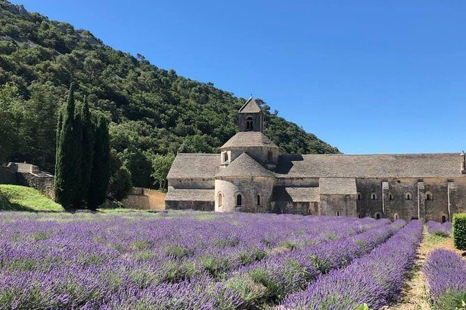 Lavender in Bloom : Unforgettable Provençal Stroll - Price and logistics: what you’re really paying for