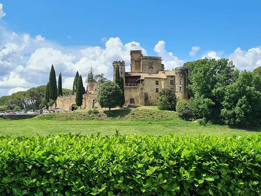 Luberon: Full-Day Wine Tour from Marseille - Vineyard Stop 2: One-Hour Taste Session with Real Wine Education